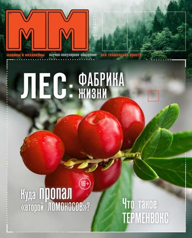 MshMch05_2021