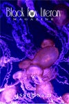Black Fox Literary Magazine Issue #22