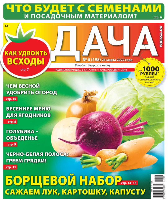Дача №6, март 2022