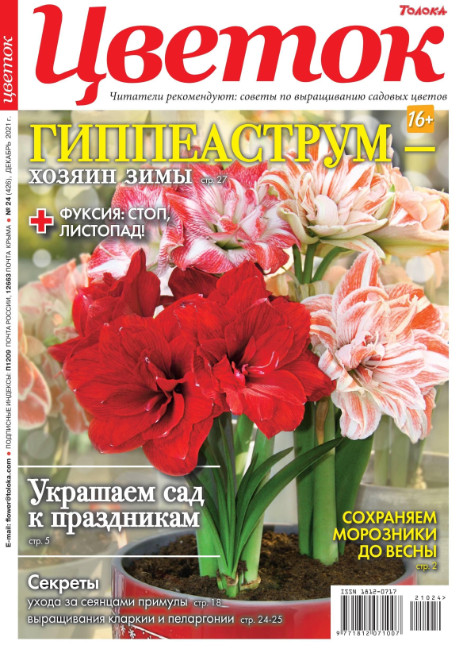 Цветок №24, декабрь 2021