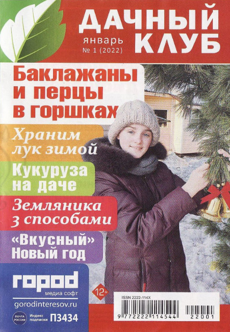 Дачный клуб №1, январь 2022