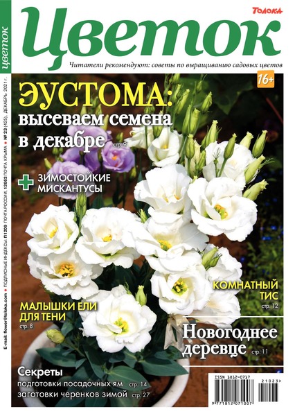 Цветок №23, декабрь 2021