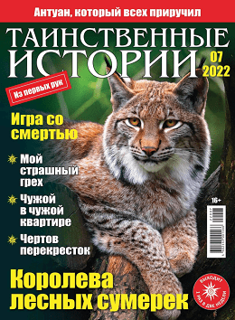 Таинственные истории №7, 2022