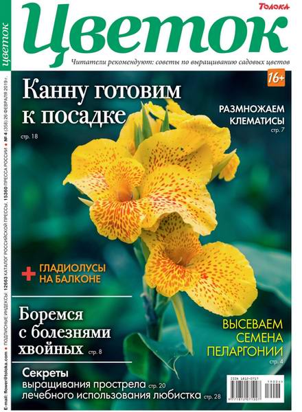 Цветок №4, февраль 2019