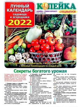Копейка. Спецвыпуск 10, октябрь 2021