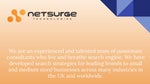 WordPress Website Development - Netsurge