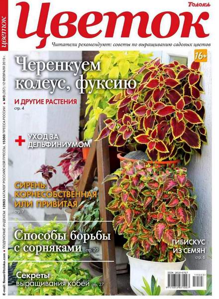 Цветок №3, февраль 2019