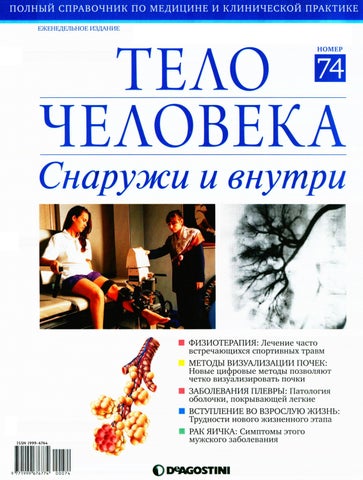Тело человека снаружи и внутри №74