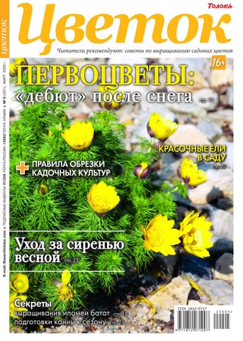 Цветок №05, Март 2022