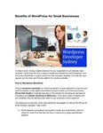 Benefits of WordPress for Small Businesses