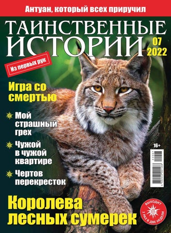 Таинственные истории №07, 2022