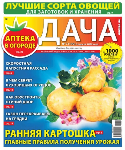 dacha_072022