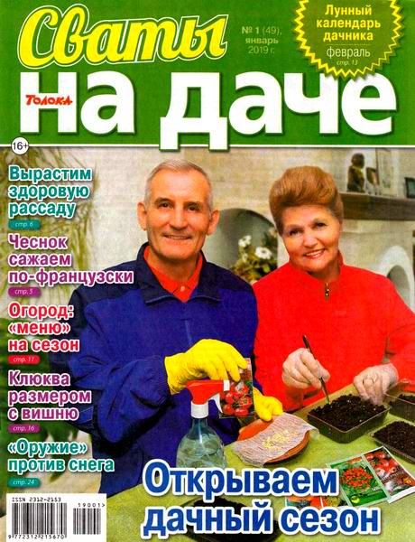 Сваты. На даче №1, январь 2019