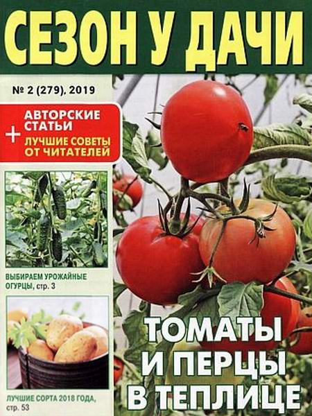 Сезон у дачи №2, январь 2019