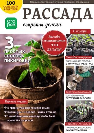 Огород Ру №2, февраль 2019