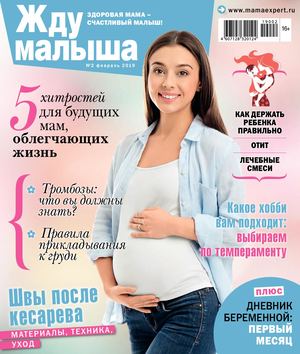 Жду малыша №2, февраль 2019