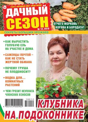 Дачный сезон №12, декабрь 2018