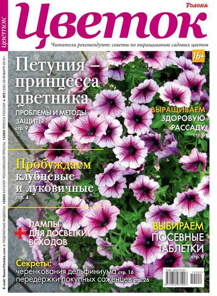 Цветок №2, январь 2019