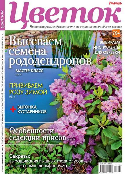 Цветок №1, январь 2019