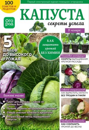 Огород Ру №1, январь 2019