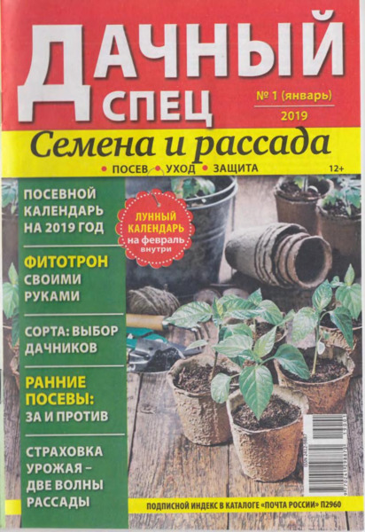 Дачный спец №1, январь 2019