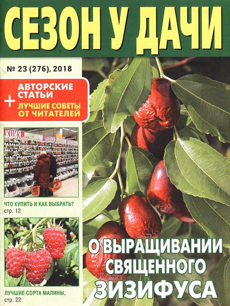 Сезон у дачи №23, декабрь 2018