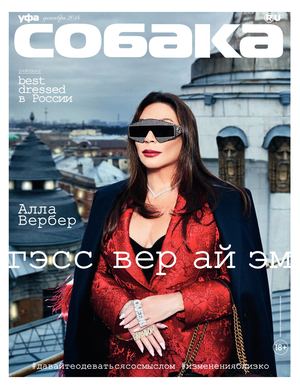 Собака, декабрь 2018