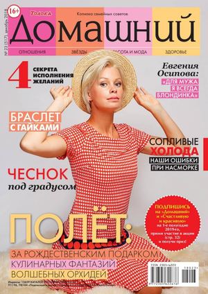 Домашний №23, декабрь 2018
