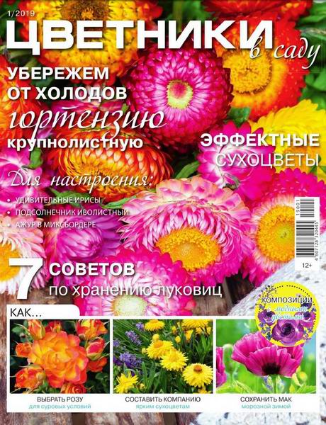 Цветники в саду №1, январь 2019