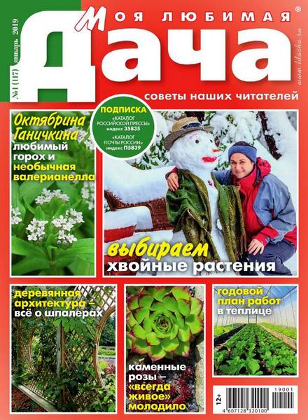 Моя любимая дача №1, январь 2019