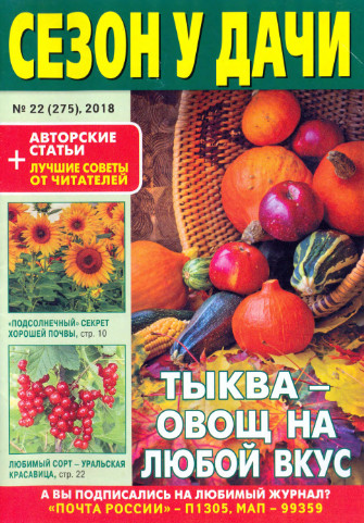 Сезон у дачи №22. ноябрь 2018