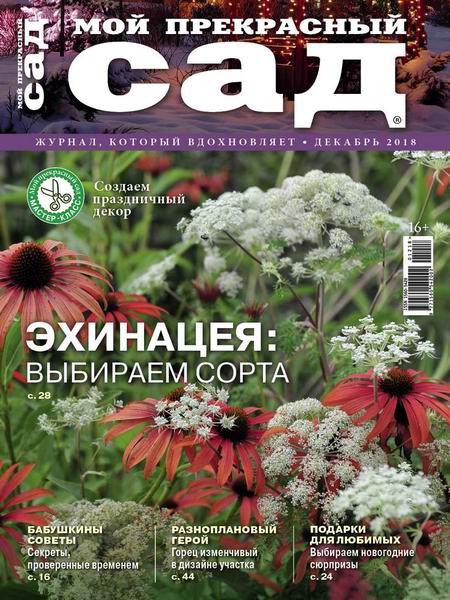 Мой прекрасный сад №12, декабрь 2018
