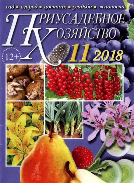 Приусадебное хозяйство №11, ноябрь 2018