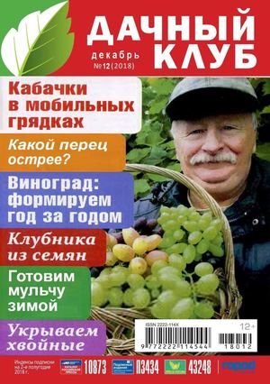 Дачный клуб №12, декабрь 2018