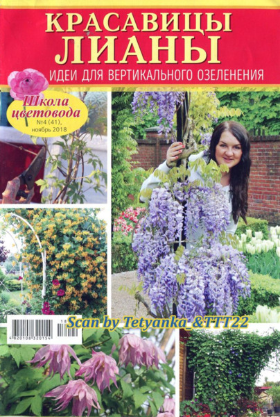 Школа цветовода №4, ноябрь 2018