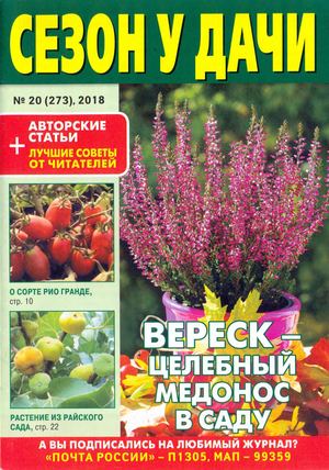 Сезон у дачи №20, октябрь 2018