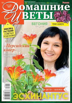 Домашние цветы №11, ноябрь 2018