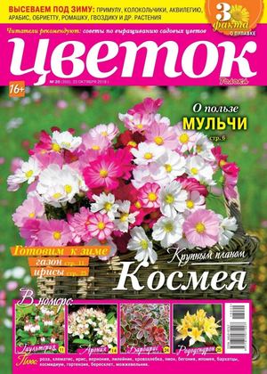 Цветок №20, октябрь 2018