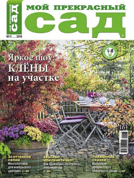 Мой прекрасный сад №11, ноябрь 2018