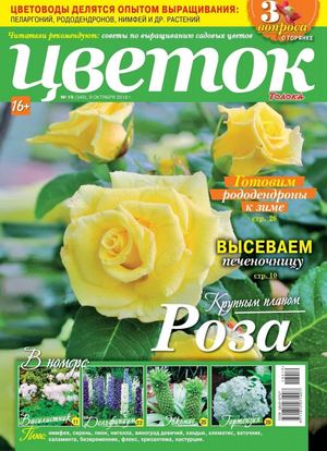 Цветок №19, октябрь 2018