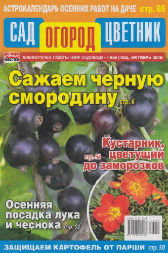 Сад Огород Цветник №8, октябрь 2018