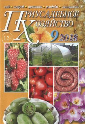 Приусадебное хозяйство №9, сентябрь 2018