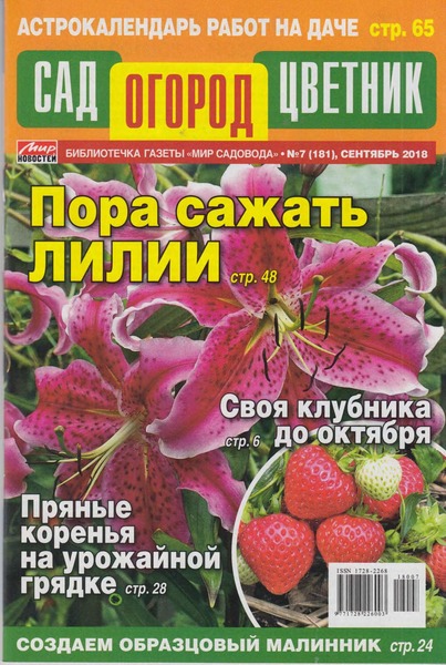 Сад. Огород. Цветник №7, сентябрь 2018