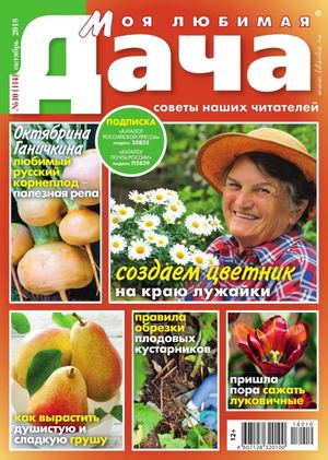 Моя любимая дача №10, октябрь 2018