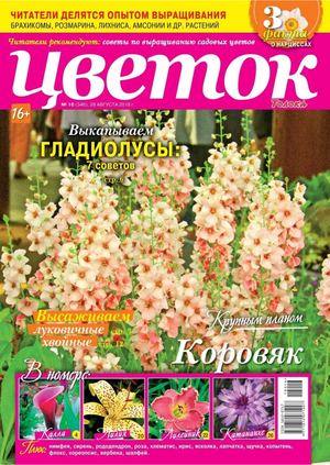 Цветок №16, август 2018