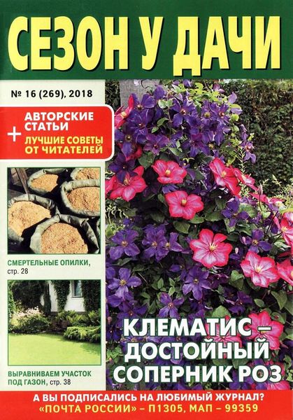 Сезон у дачи №16, август 2018