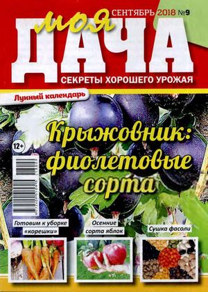 Моя дача №9, сентябрь 2018