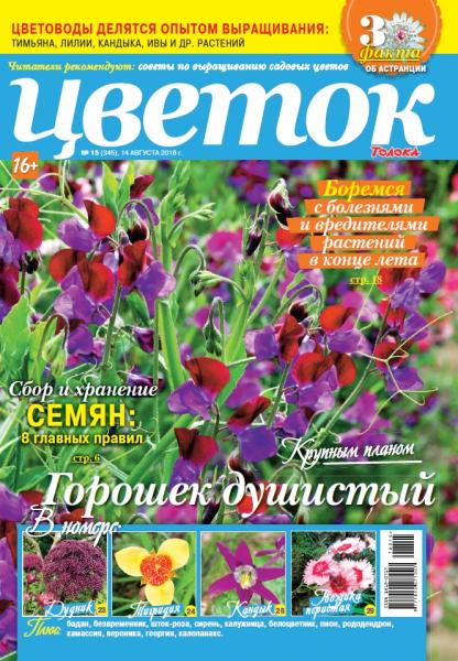 Цветок №15, август 2018