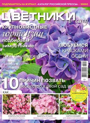 Цветники в саду №9, сентябрь 2018
