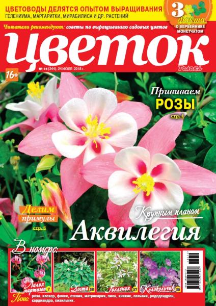 Цветок №14, июль 2018